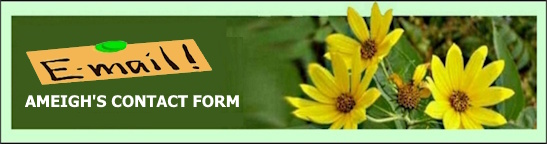 Contact form logo